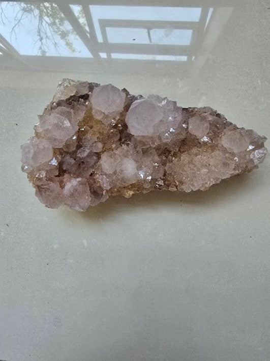 Natural Cactus Flower Sunburst